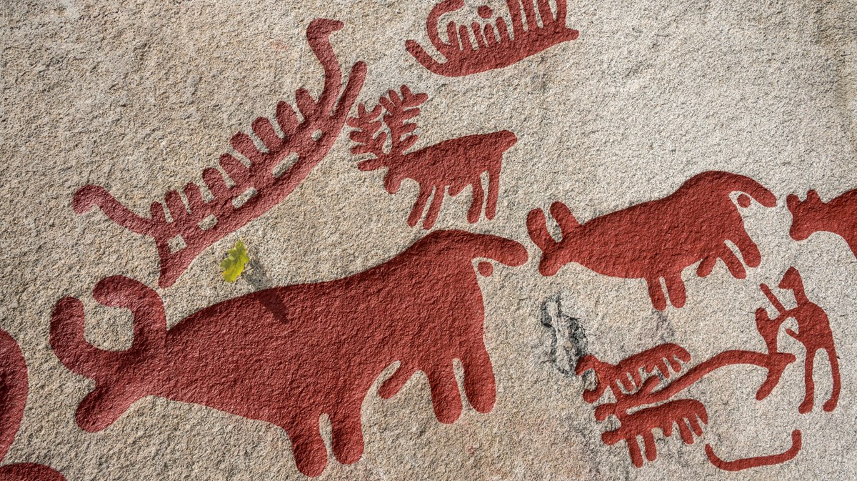 Bulls, dears and animal rock carvings painted red.