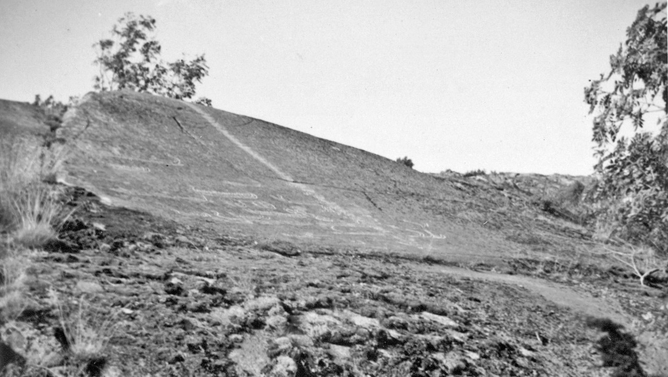 svartvit foto hällristningar.