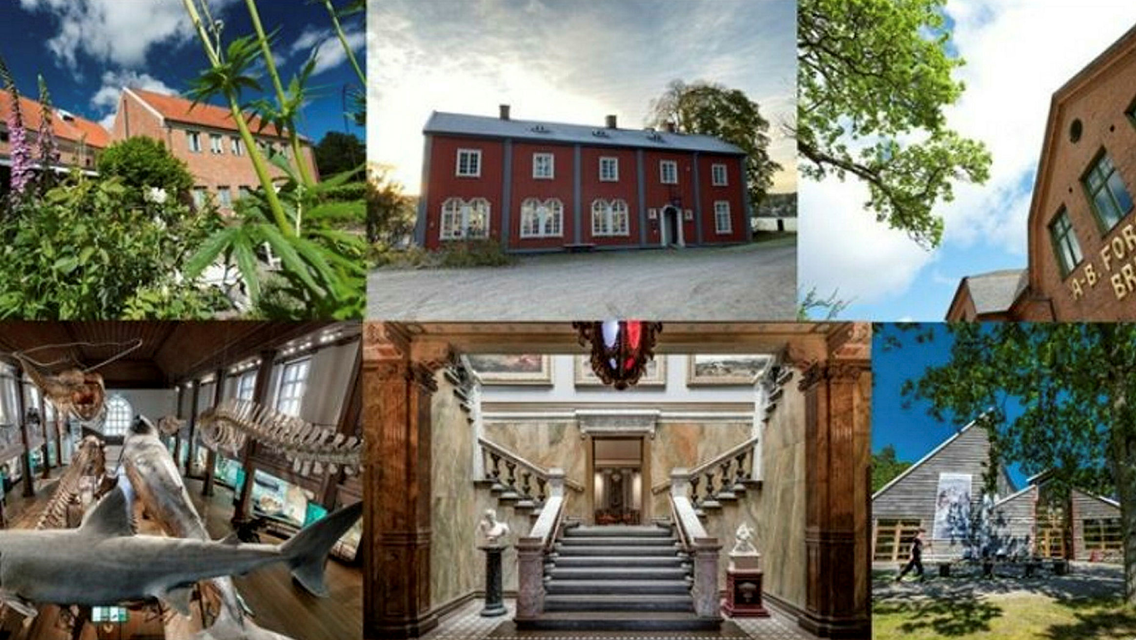 flera bilder på olika museum