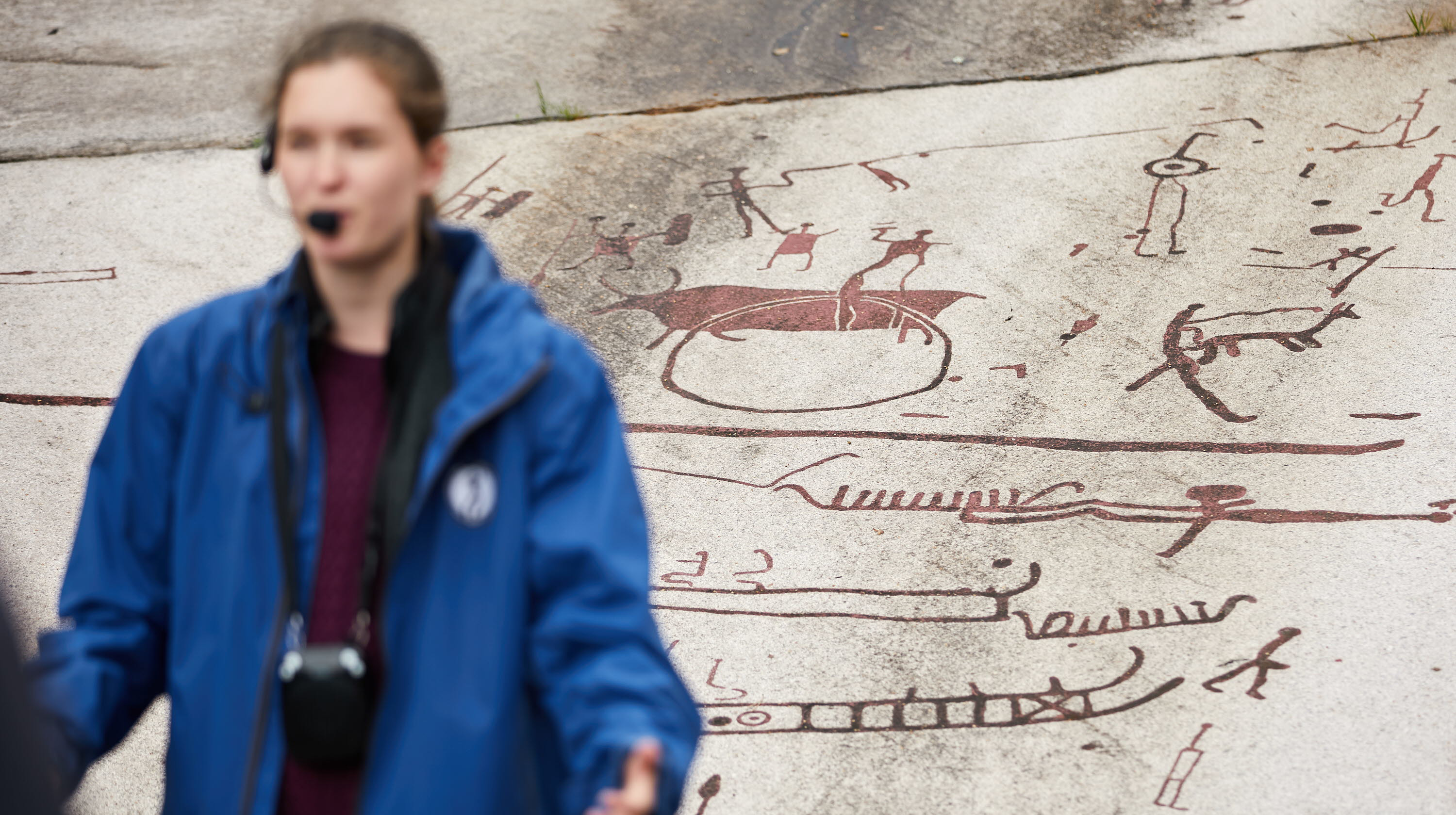 guide framför hällristningar med skepp och tjurar