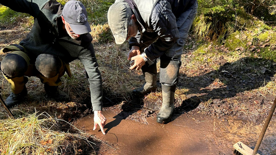 Två personer iklädda heltäckande kläder, keps och stövlar står nedböjda vid en häll i skogen. Den ena av dem pekar mot en hällristning.