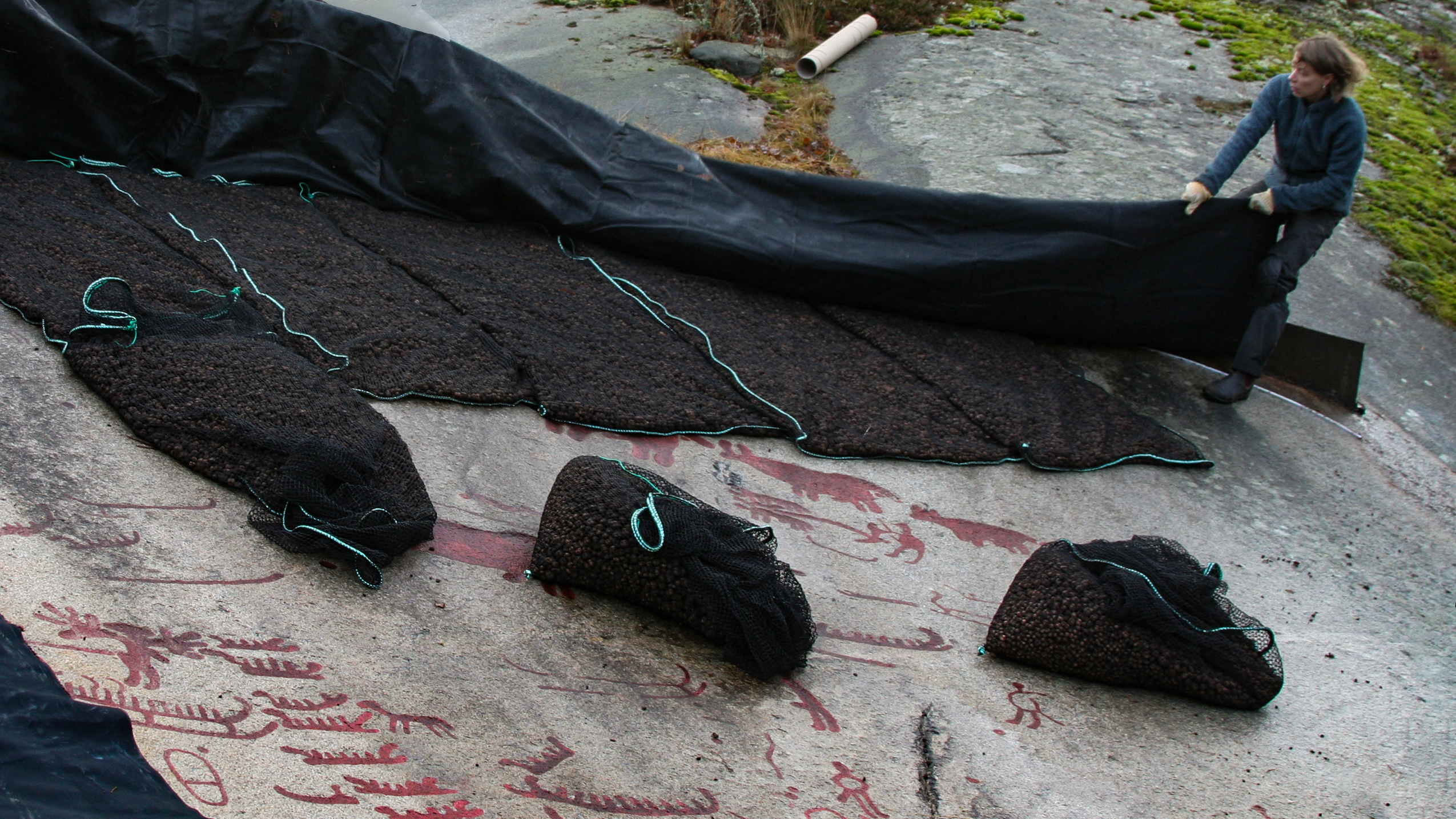 The Aspeberget rock carving panel being covered