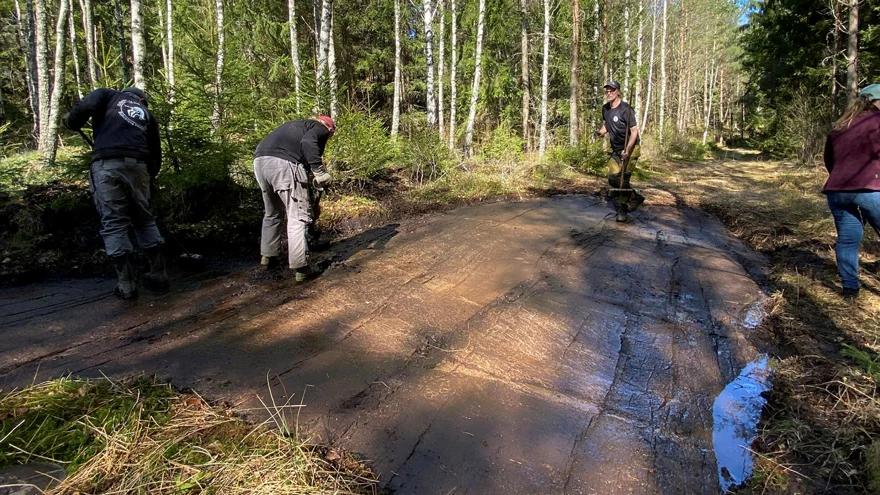 Fyra personer arbetar vid en upptäckt hällristning i Tanum.