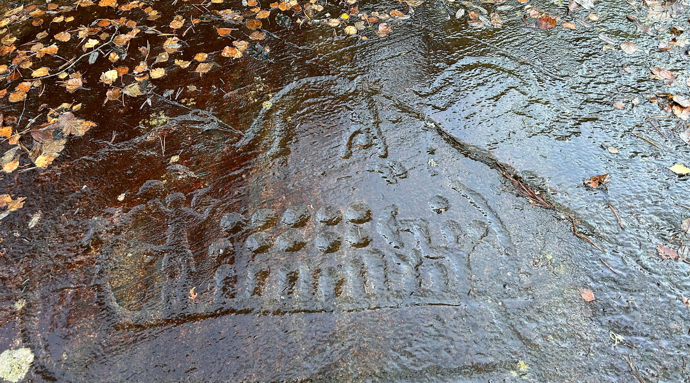 sotetorp rock carving ship and voltiguer.
