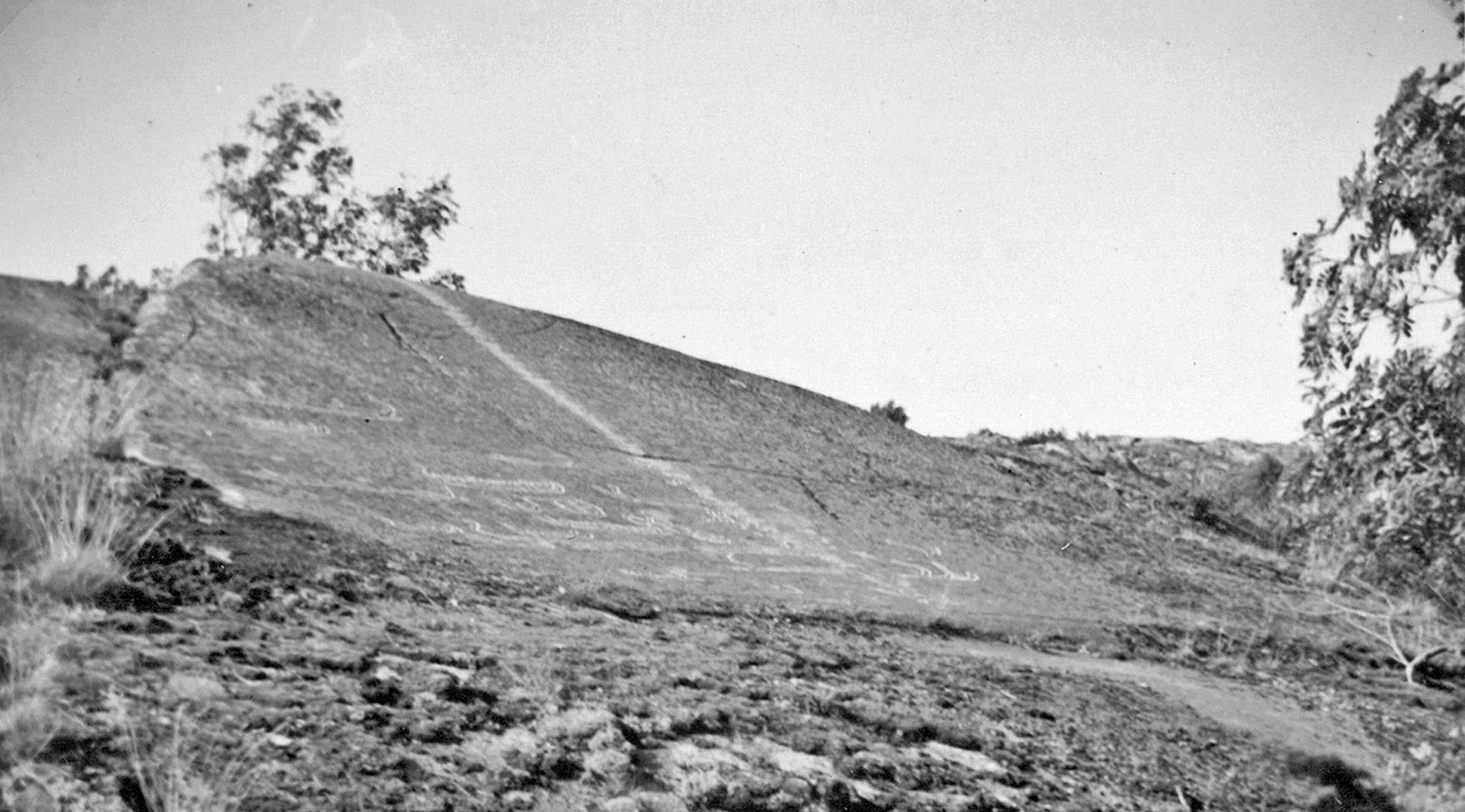 slät sluttande häll med hällristningar