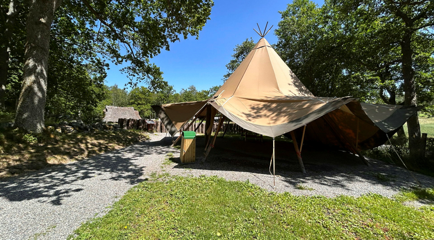 Tipi