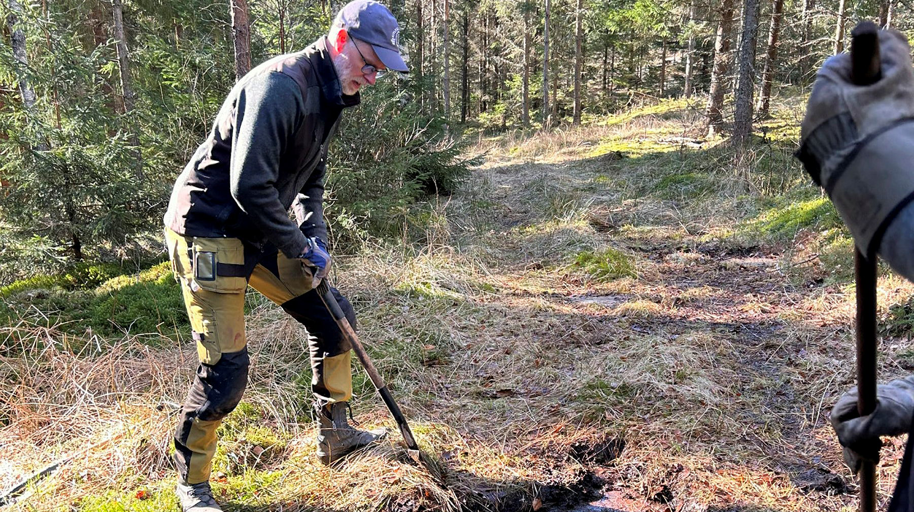 En man gräver står intill en häll och försöker blottlägga en hällristning.