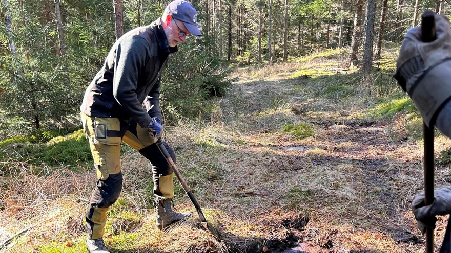 En man gräver står intill en häll och försöker blottlägga en hällristning.