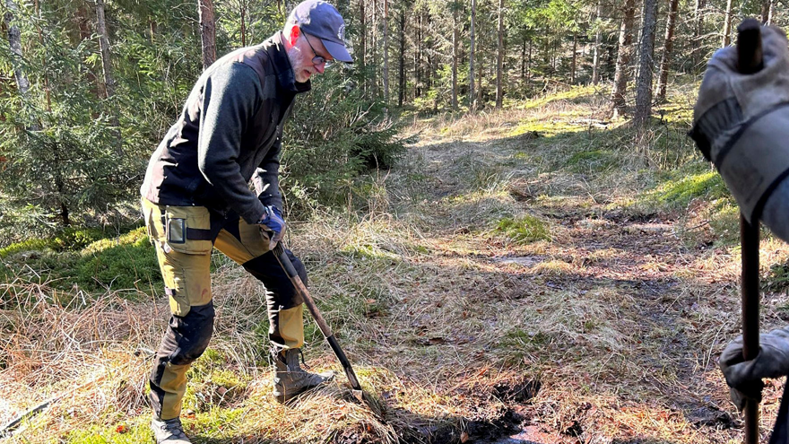En man gräver står intill en häll och försöker blottlägga en hällristning.