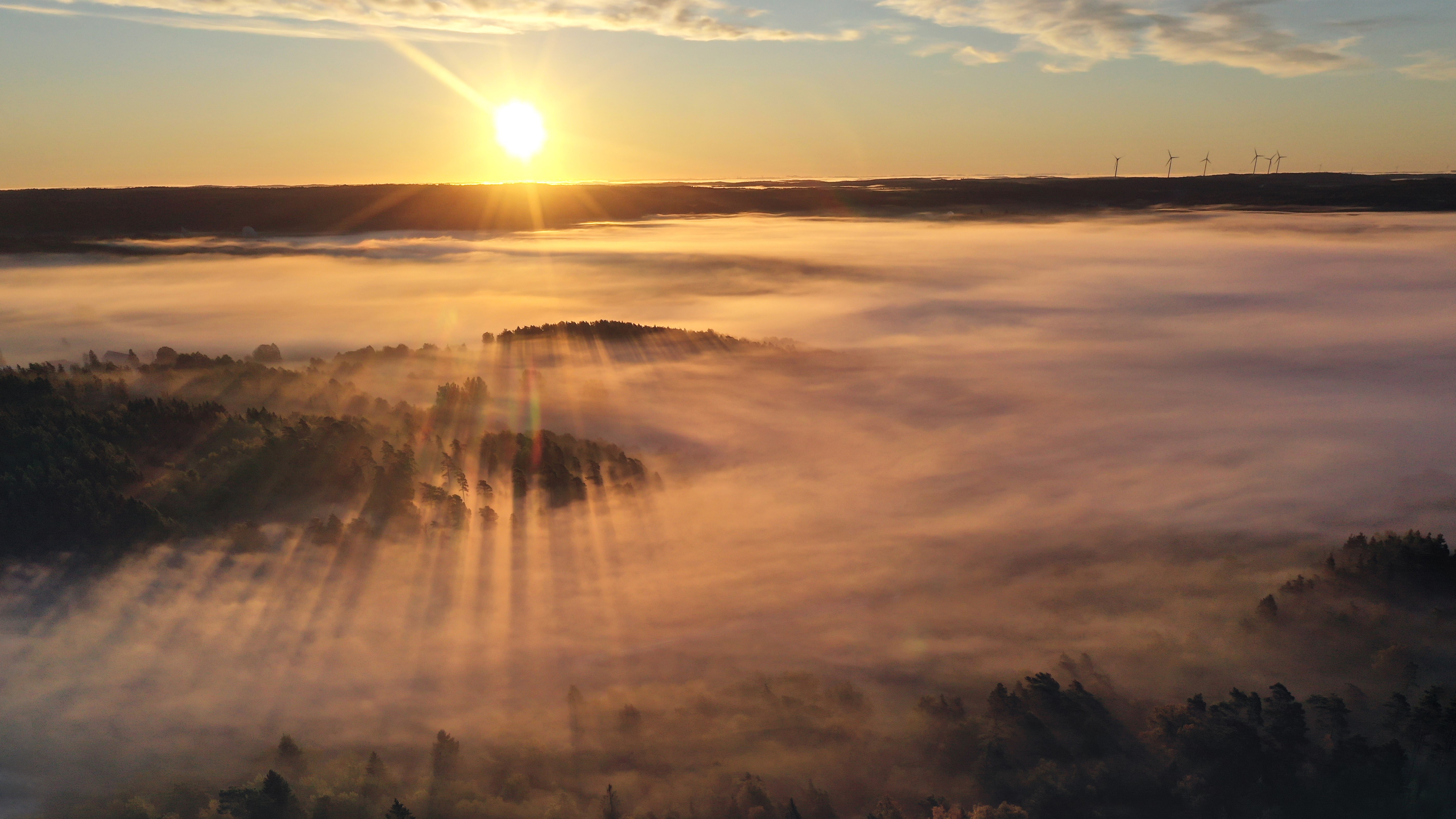 sunrise above trees.