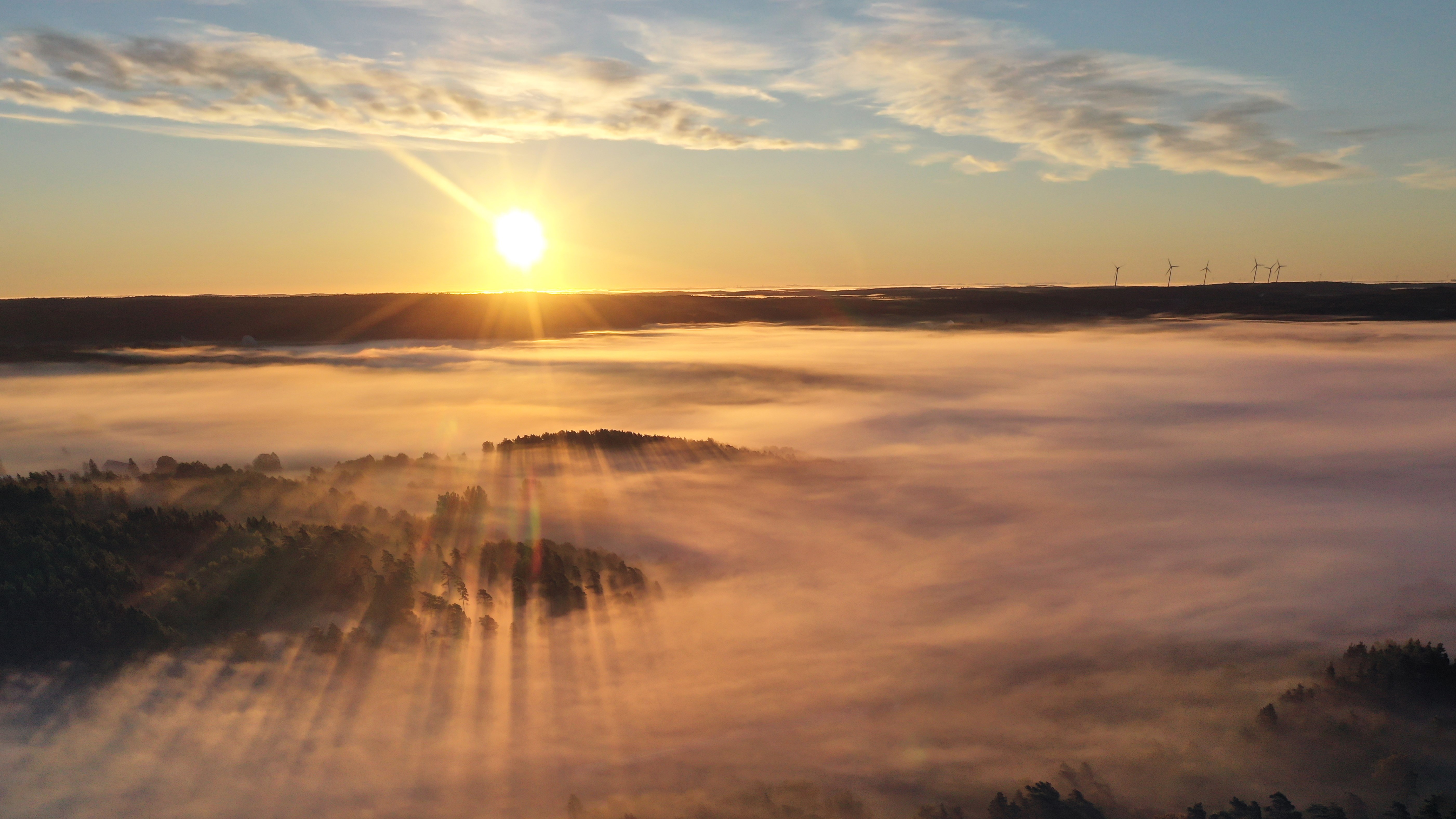 En soluppgång med dimma över träden.