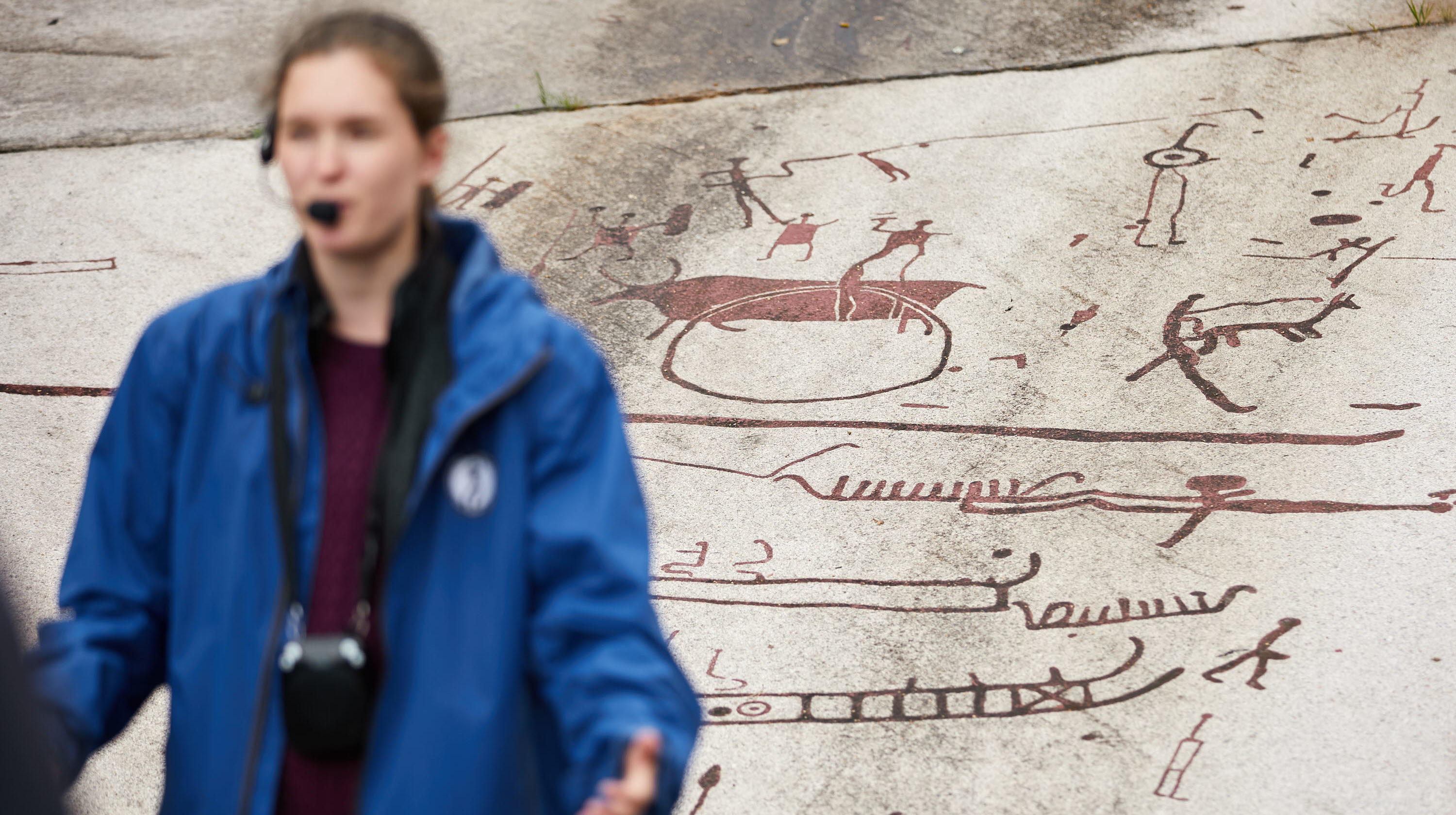 Tägliche Führungen an der Felsplatte Vitlyckehällen ~30 Minuten~